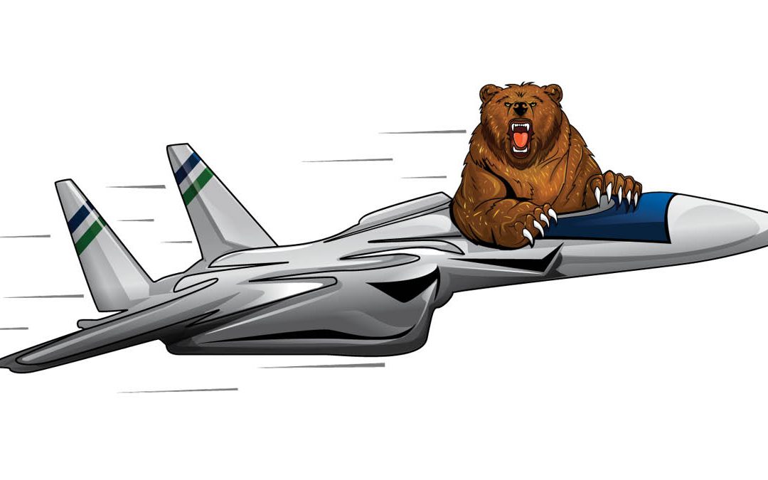 Grizzly Bear Riding in Supersonic Jet
